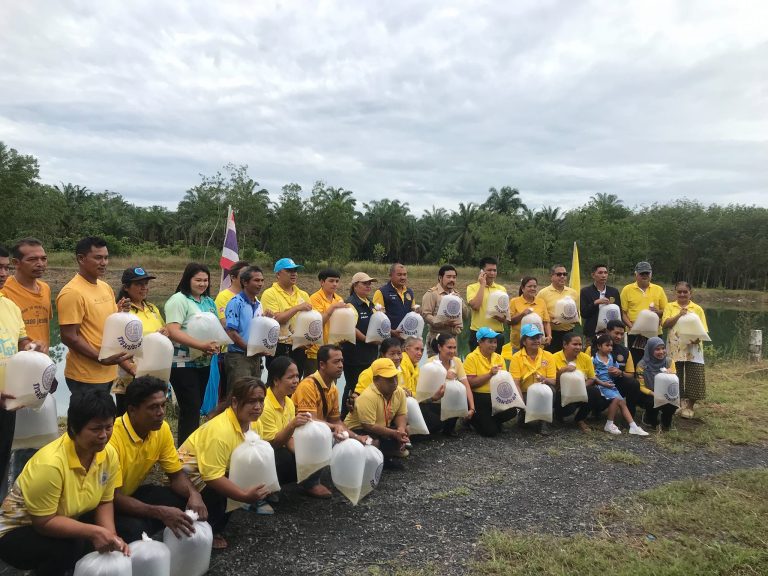 วันที่ 4 เดือน ธันวาคม 2567ผลการปฏิบัติสายงาน อำนวยการและสนับสนุน